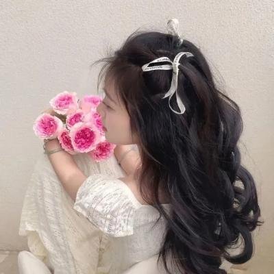 国家要案