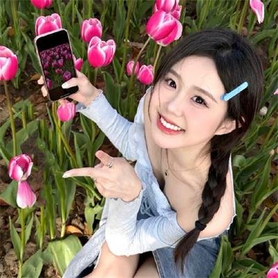 寻找爱丽丝吉